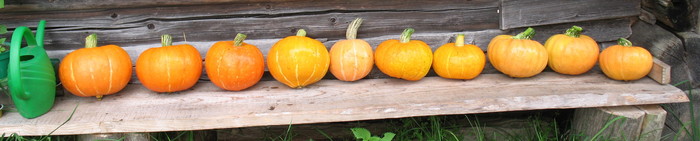 1536697131_IMG_4763_01 (700x141, 38Kb)