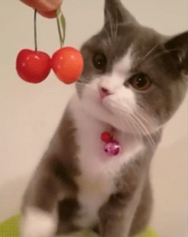 tumblr_p3b7b976Sb1vwvx0xo2_400 (270x340, 2824Kb)