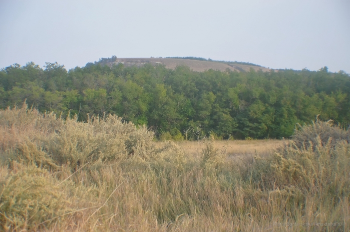 2270477_DSC_5590 (700x463, 225Kb)