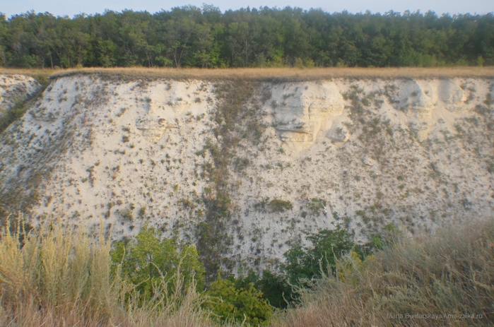 2270477_DSC_5596 (700x463, 291Kb)