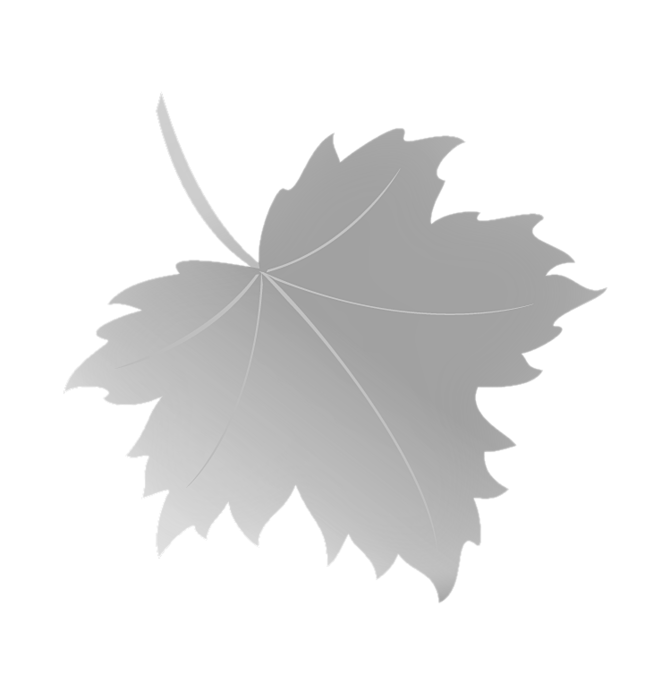 list-klena1 (2) (662x700, 60Kb)