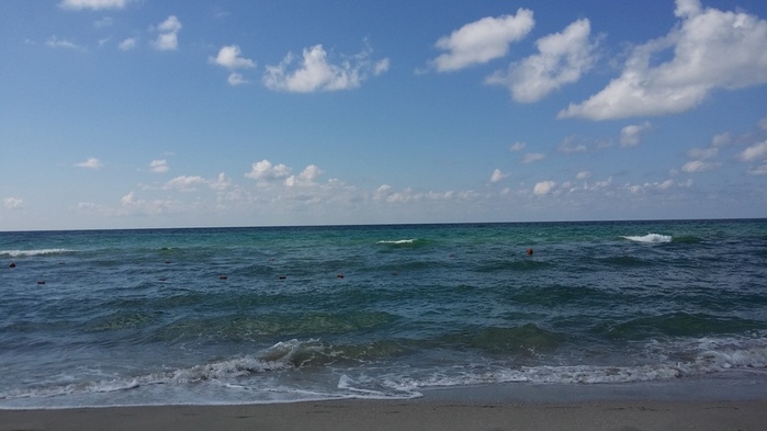 20180912_113135 (700x393, 92Kb)