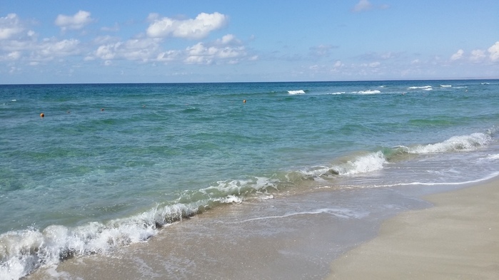 20180912_105802 (700x393, 102Kb)