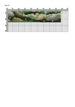  Natures Home (DMC)-025 (494x700, 79Kb)