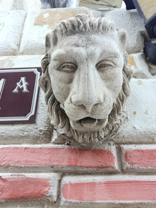 IMG_20180720_143032 (525x700, 424Kb)