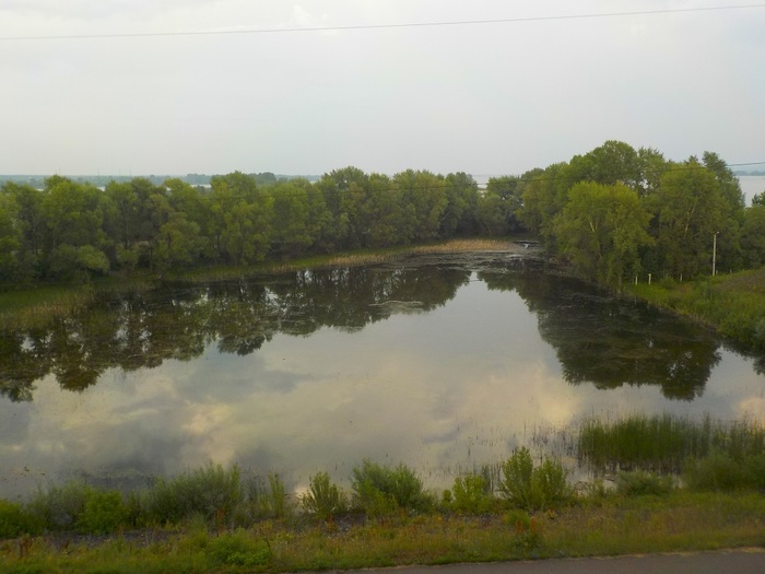 5730384_DSCN2507 (700x525, 92Kb)