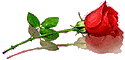 3906024_unnamed_2_ (125x60, 2Kb)