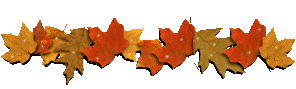 0_ab42f_12bc8c1_orig (296x89, 9Kb)