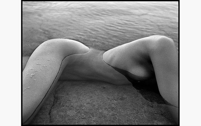 work of photographer Patrick Demarchelier (700x437, 48Kb)