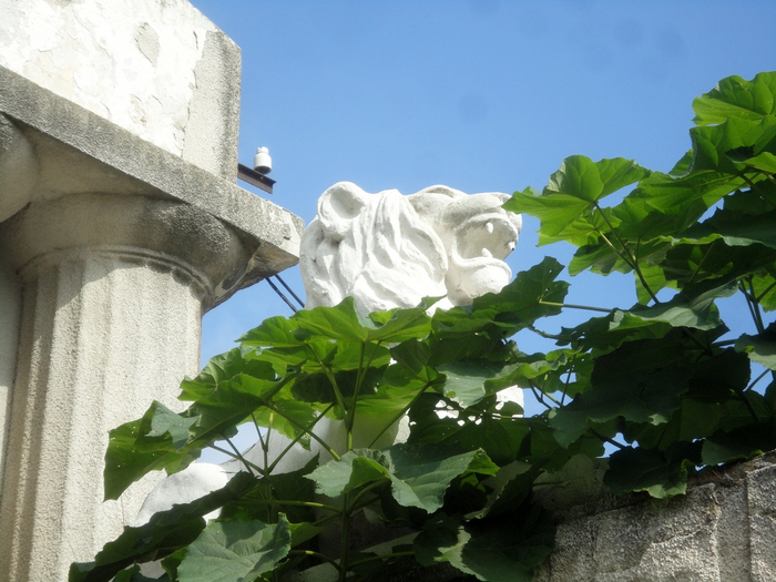 DSC03223 (700x525, 391Kb)