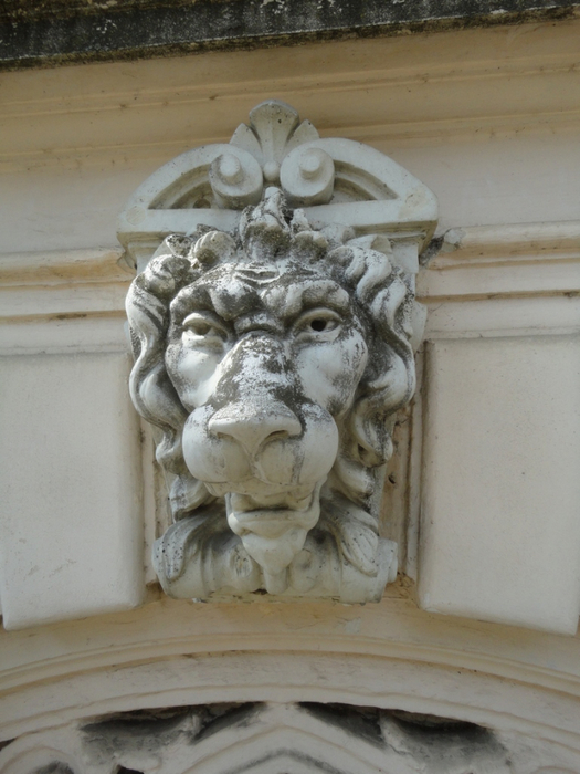 DSC03242 (525x700, 342Kb)