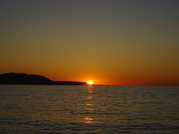 DSC03219 (700x525, 329Kb)