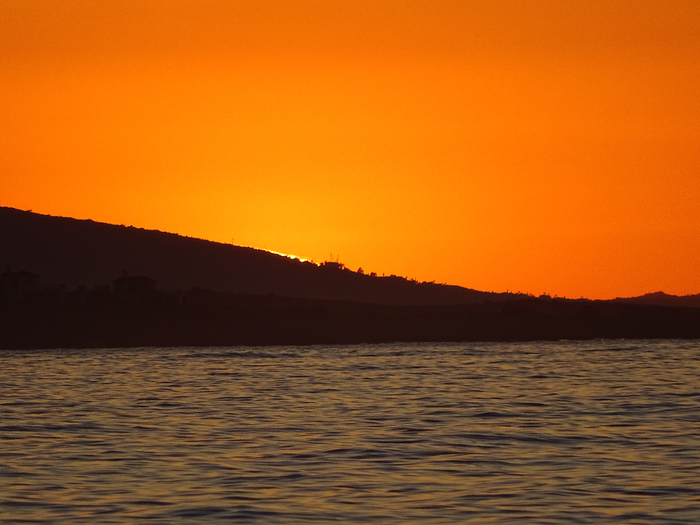 DSC03226 (700x525, 359Kb)