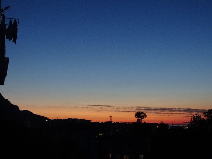 DSC03250 (700x525, 277Kb)