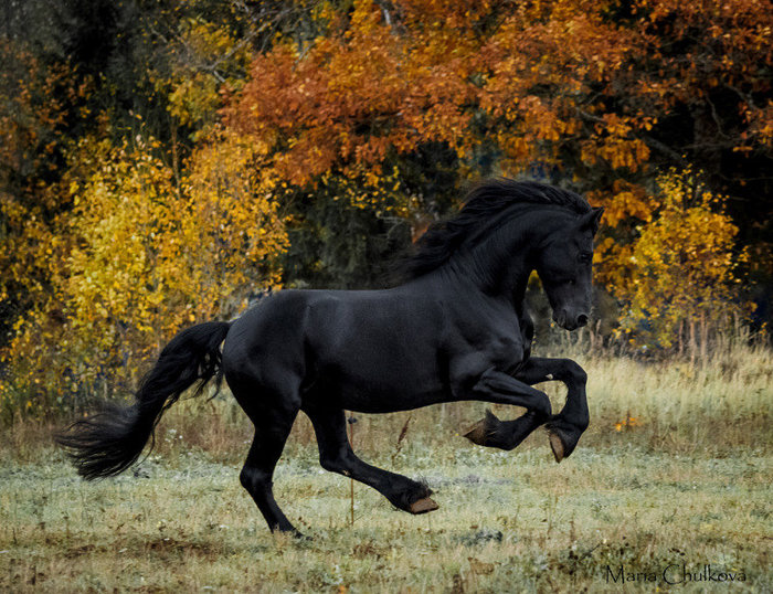 3db80b6e (700x538, 153Kb)