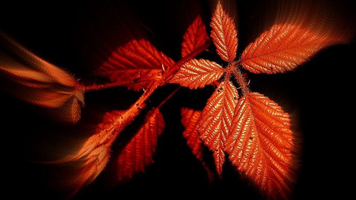 189498c6ccccca62c3a1a4 (700x393, 51Kb)
