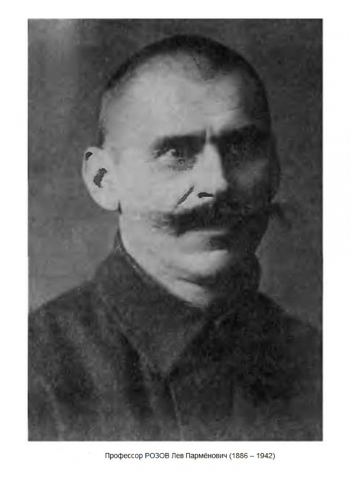 5289008_rozov4 (511x700, 184Kb)