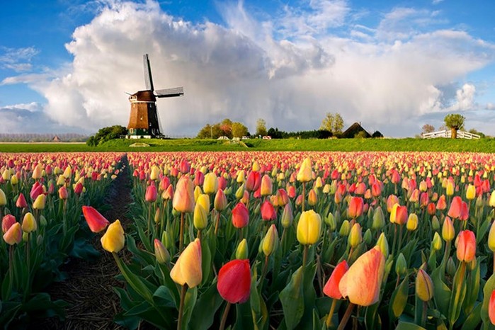 Почему Нидерланды называют Голландией?