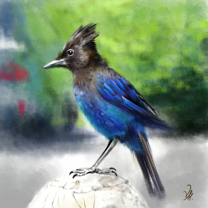 ptica_bystrosketch_inet (700x700, 336Kb)