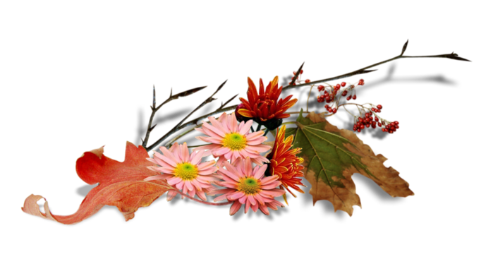 0_c83b5_ee899c75_XL (700x374, 188Kb)