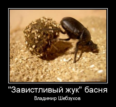 4345407_ (480x444, 43Kb)