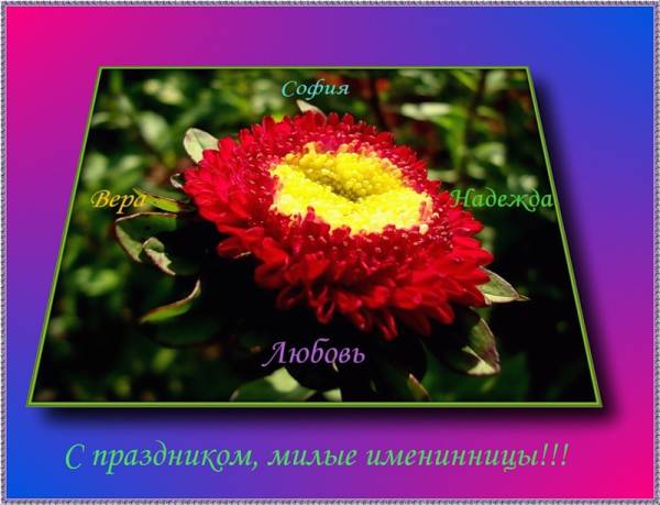 s9760890 (600x459, 37Kb)