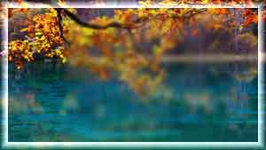 --1 (300x169, 9Kb)
