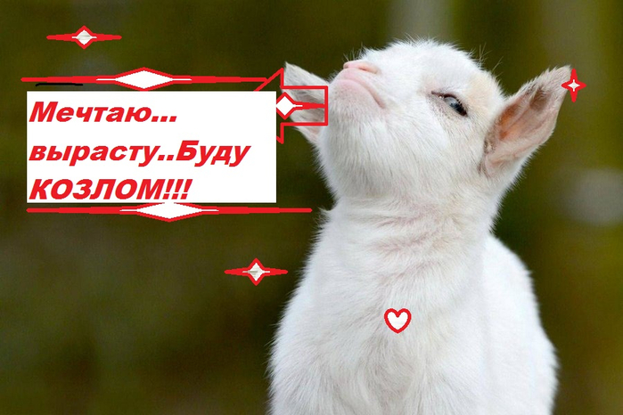 Буду козлом мечта (700x466, 292Kb)