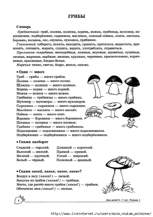 Летом в лесу приятно пахнет грибами составь схему