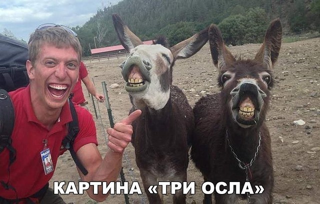 3  (640x408, 85Kb)