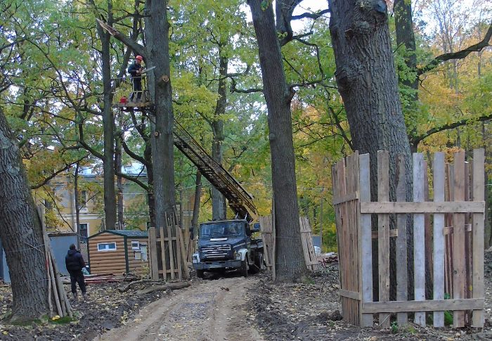 DSC01685 (700x485, 448Kb)