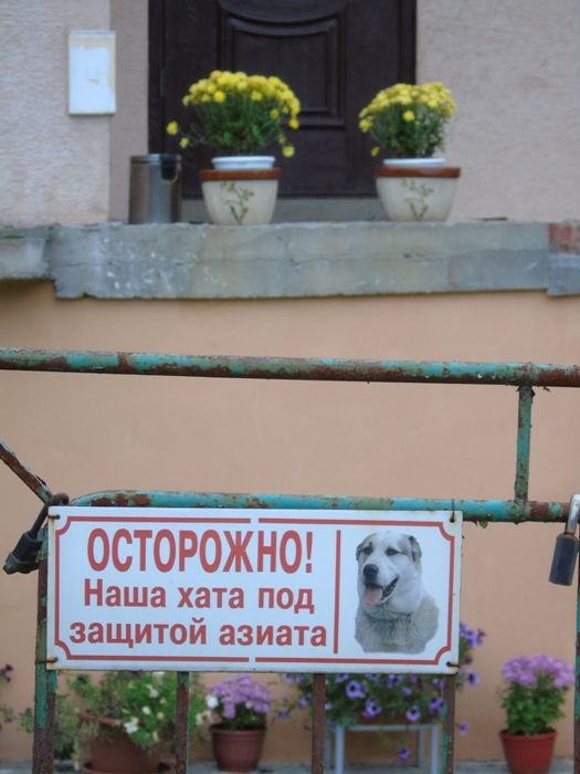 DSC01765 (525x700, 306Kb)