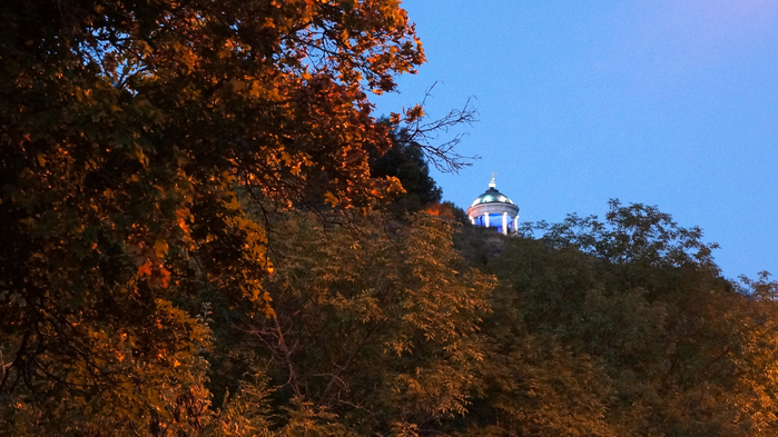 DSC05391 (700x393, 390Kb)