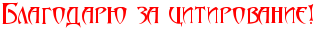!!! (317x30, 3Kb)