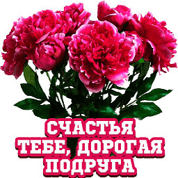 image (93) (256x256, 94Kb)