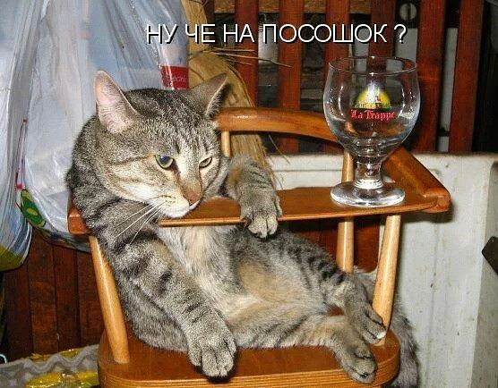 4743317_im (556x434, 99Kb)