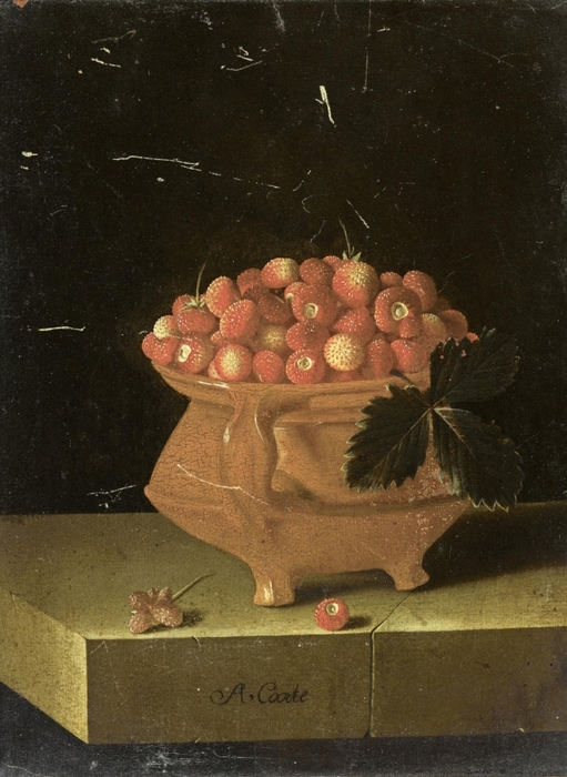 5229398_Adriaen_Coorte__Grapes_Medlars_Apricots_and_a_Fig_1_ (511x700, 255Kb)