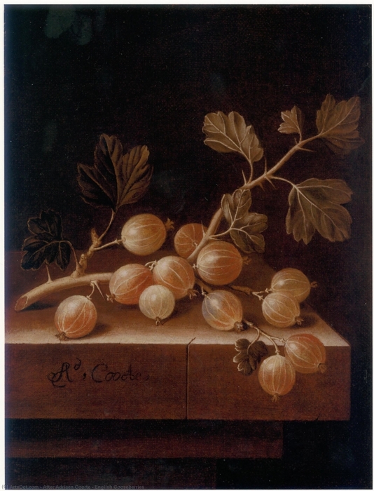 5229398_Adriaen_Coorte__Still_life_with_peach_and_two_apricots__sold_1dec2009_2_ (534x700, 266Kb)