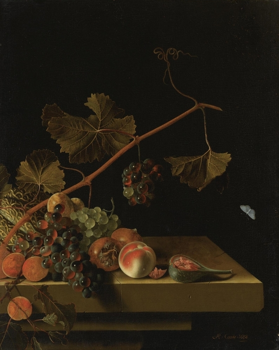 5229398_Adriaen_Coorte__Grapes_Medlars_Apricots_and_a_Fig (557x700, 235Kb)