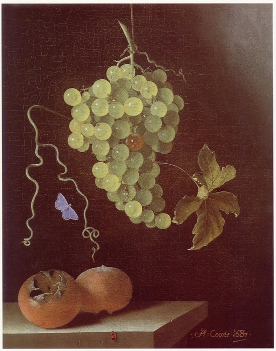 5229398_Adriaen_Coorte__Still_life_with_peach_and_two_apricots__sold_1dec2009_5_ (549x700, 302Kb)