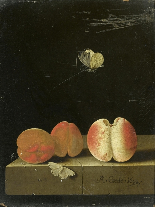 5229398_Adriaen_Coorte__Still_life_with_peach_and_two_apricots__sold_1dec2009 (525x700, 243Kb)