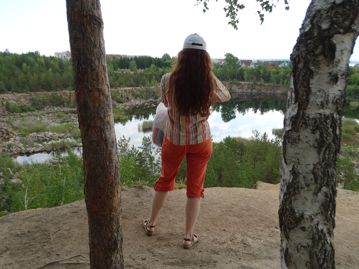 DSC00331 (700x525, 392Kb)