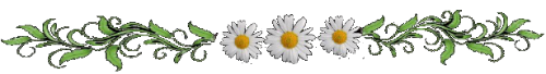 129047828_294 (500x68, 42Kb)