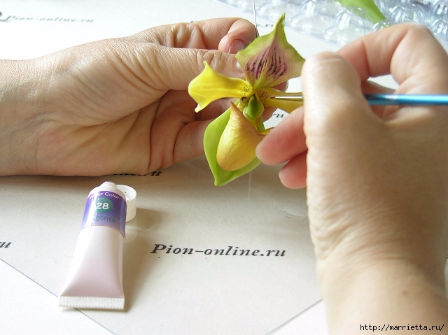 Орхидея Леди Слиппер из полимерной глины. Мастер-класс (66) (640x479, 160Kb)
