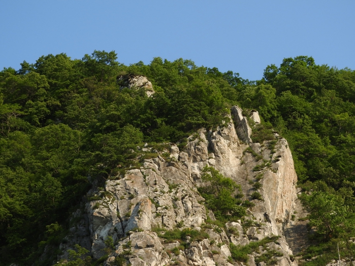 5559494_DSCN3866 (700x525, 310Kb)