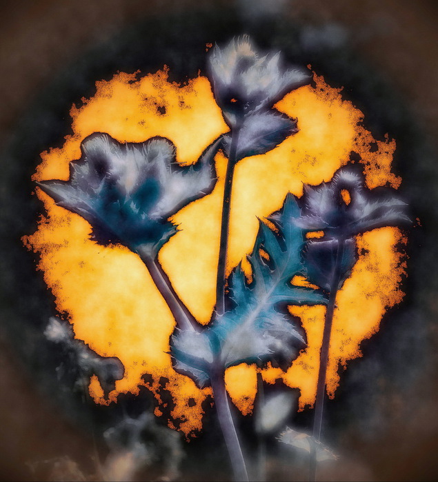 PK_II (635x700, 148Kb)