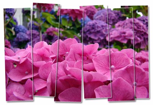 0_12ded5_7ef69491_orig (500x343, 248Kb)