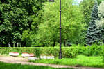  IMG_0647 (700x467, 625Kb)