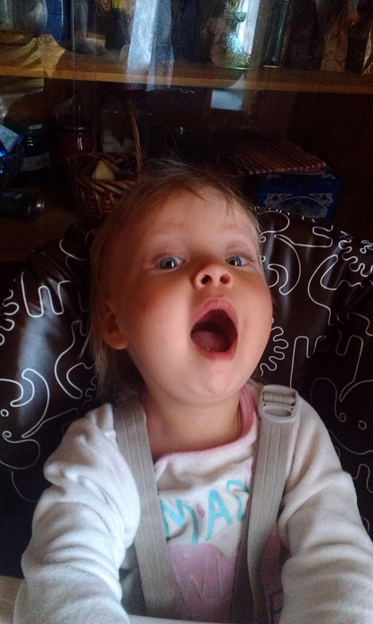 3309684_IMAG0220 (418x700, 224Kb)