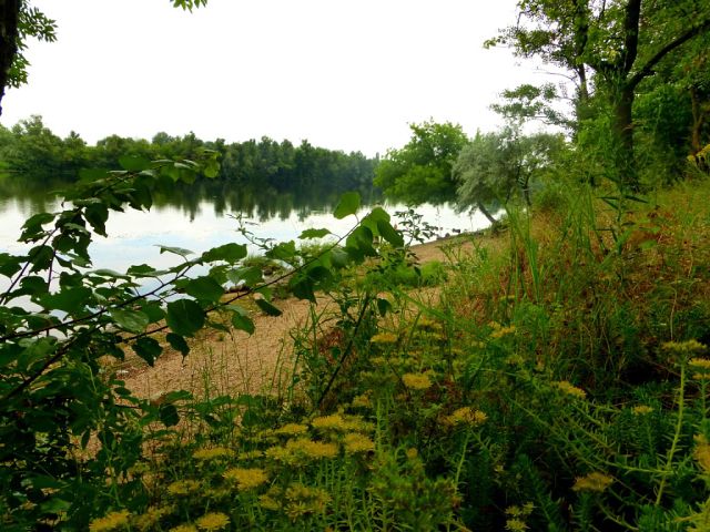 5752045_image_10 (640x480, 78Kb)